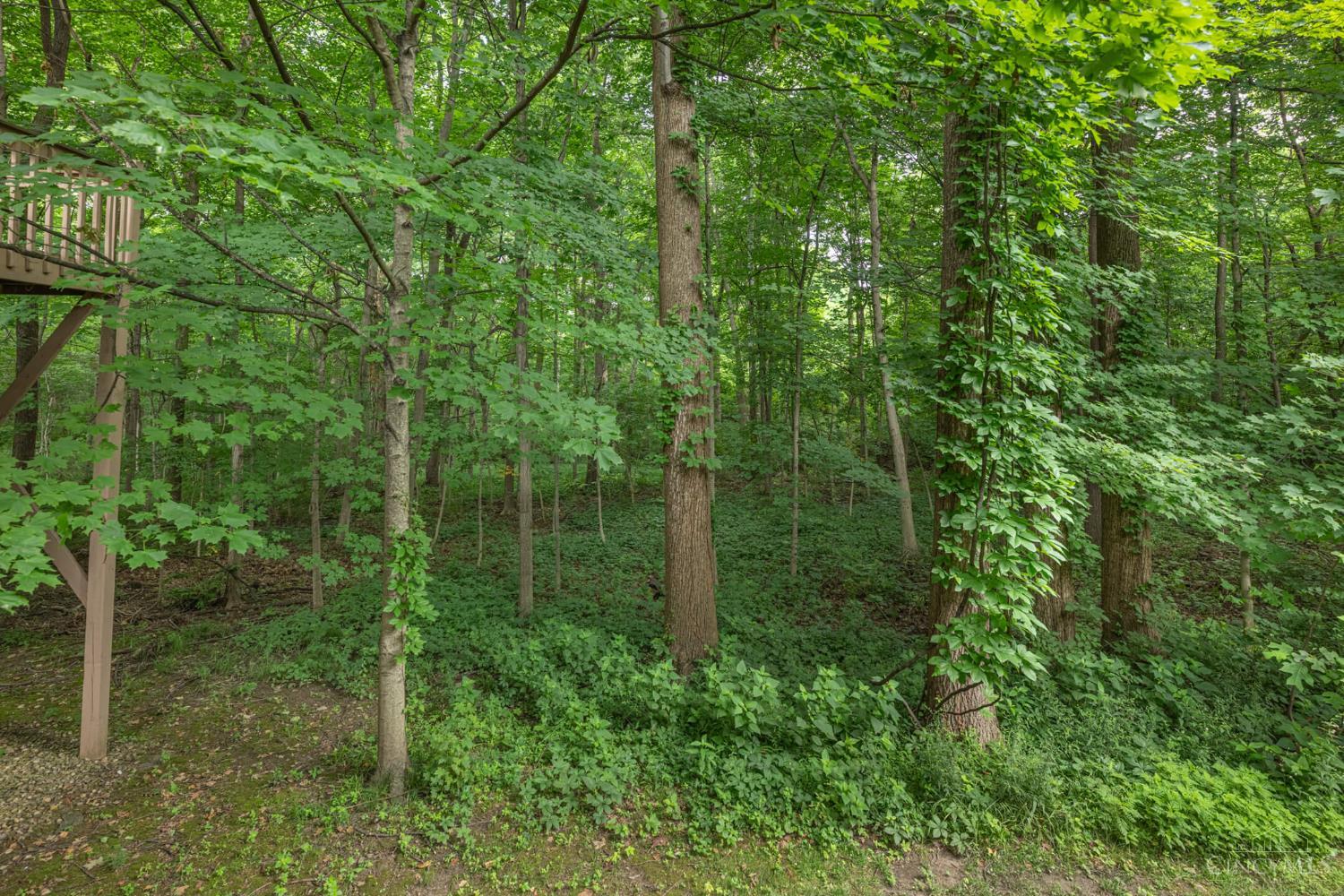 4903 Hickory Hollow, Middletown, OH, 45042 — photo 48