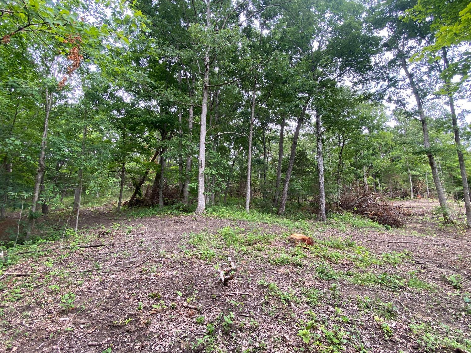 435 Rolling Woods Drive, West Union, OH, 45693 — photo 10