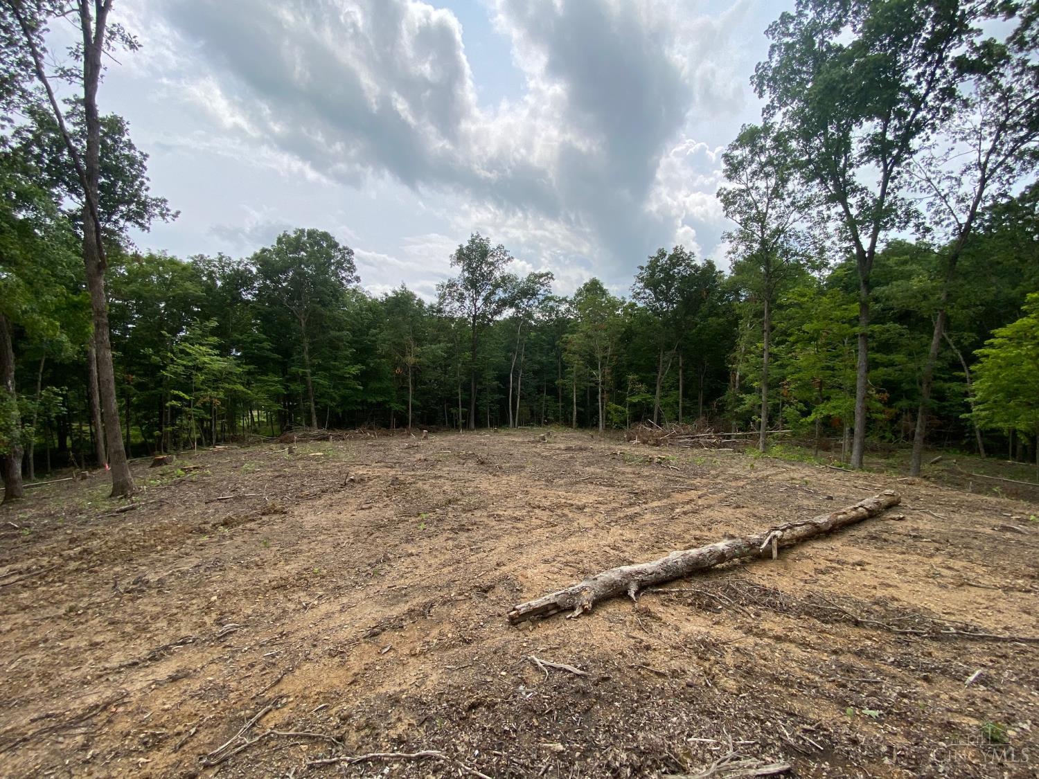 435 Rolling Woods Drive, West Union, OH, 45693 — photo 2