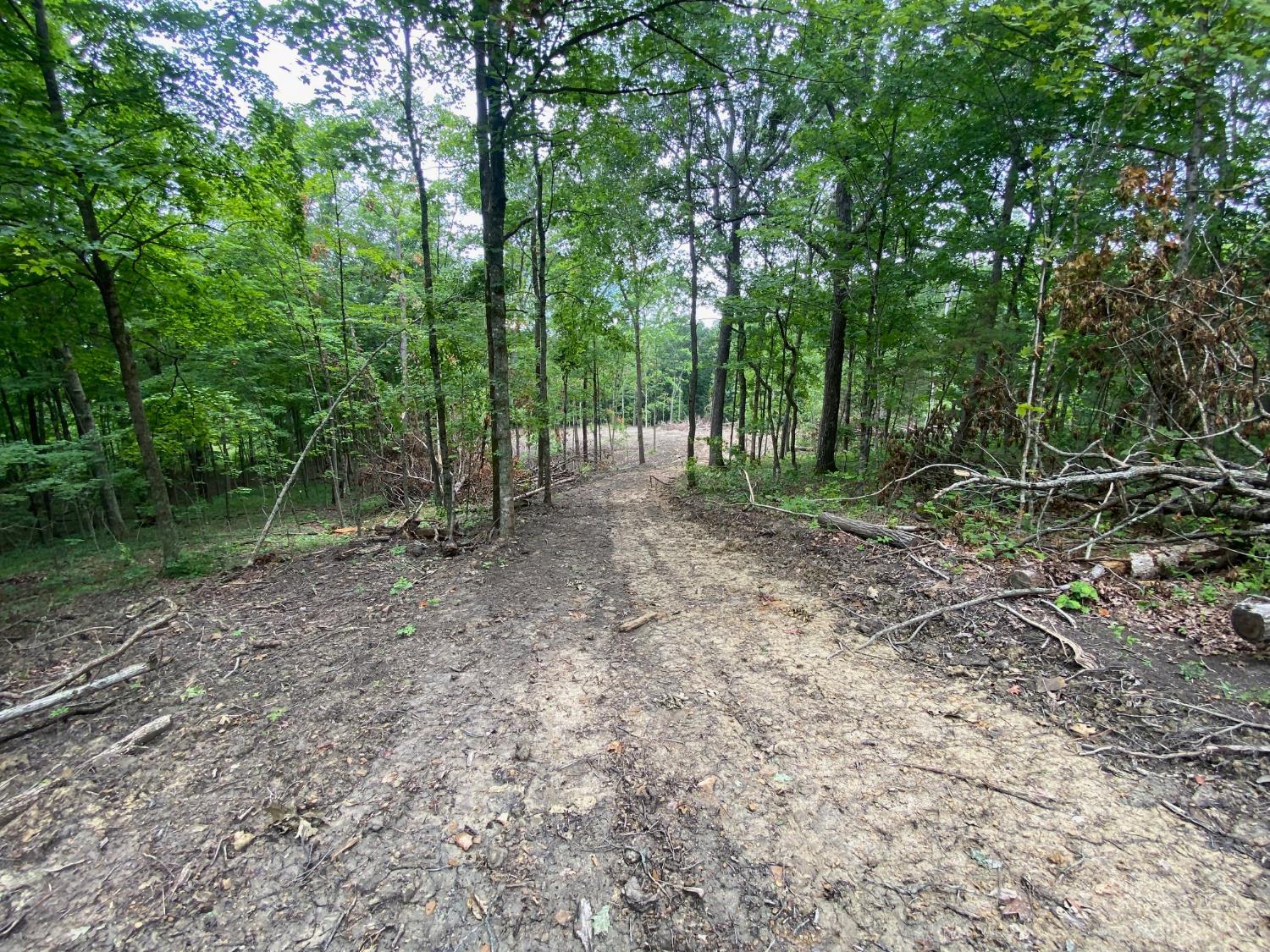 435 Rolling Woods Drive, West Union, OH, 45693 — photo 3
