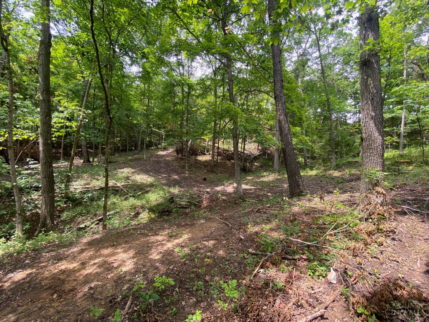 435 Rolling Woods Drive, West Union, OH, 45693 — photo 12