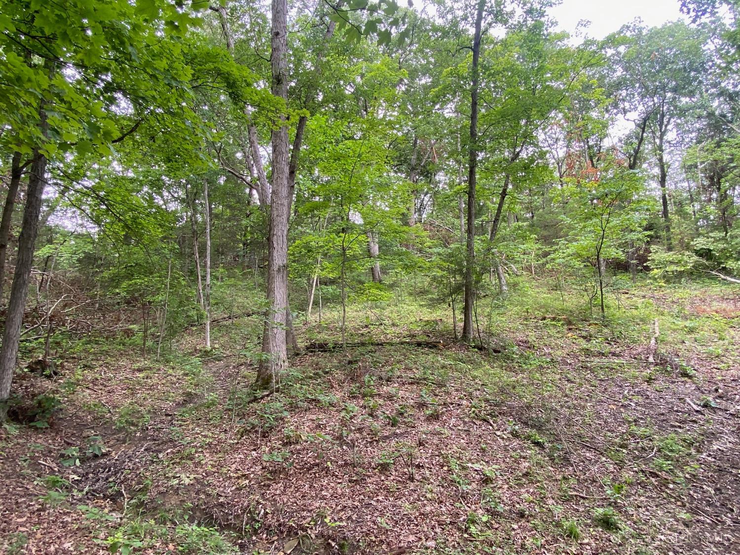 435 Rolling Woods Drive, West Union, OH, 45693 — photo 14