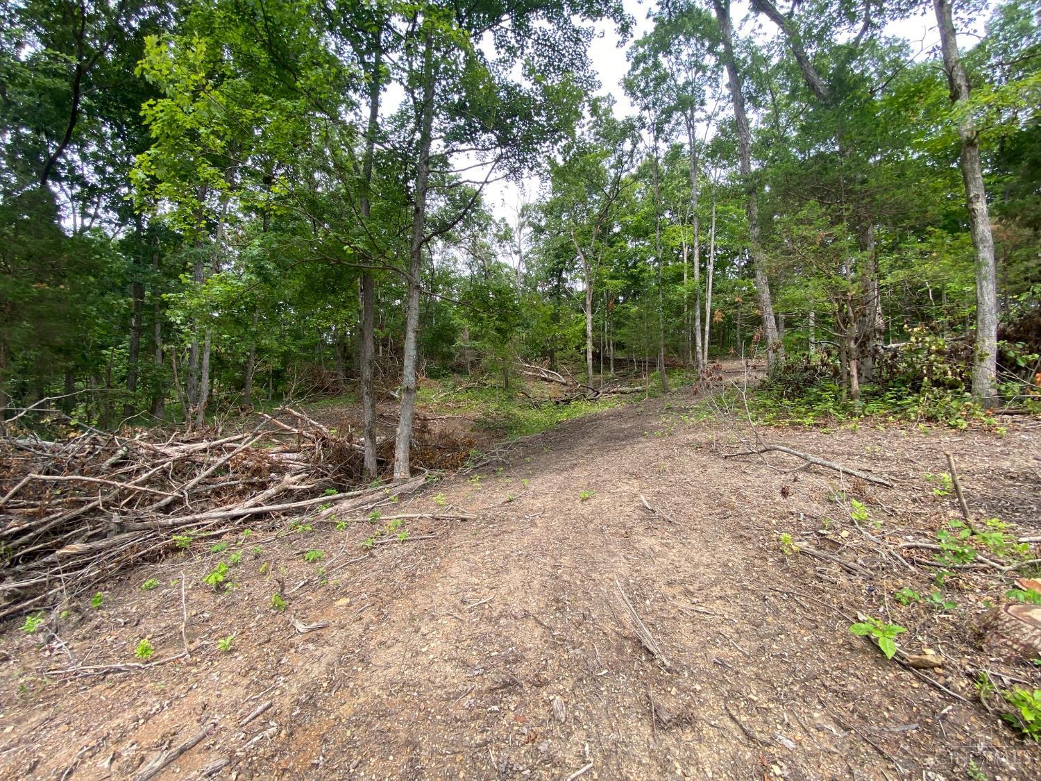 435 Rolling Woods Drive, West Union, OH, 45693 — photo 9
