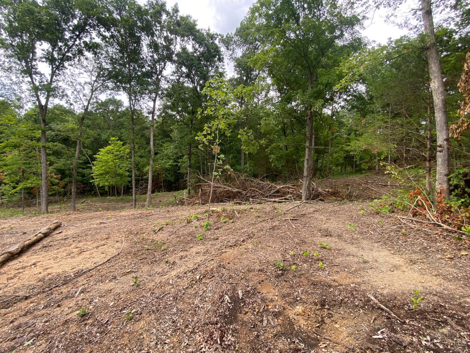 435 Rolling Woods Drive, West Union, OH, 45693 — photo 8