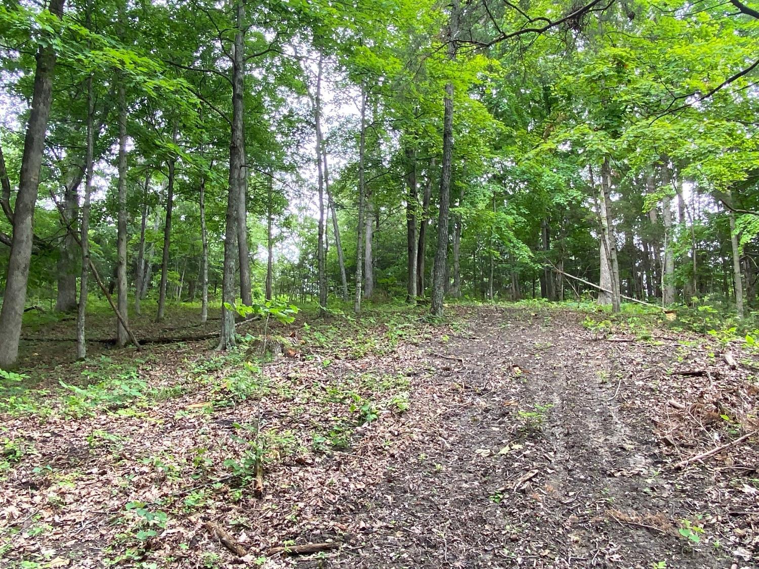 435 Rolling Woods Drive, West Union, OH, 45693 — photo 15