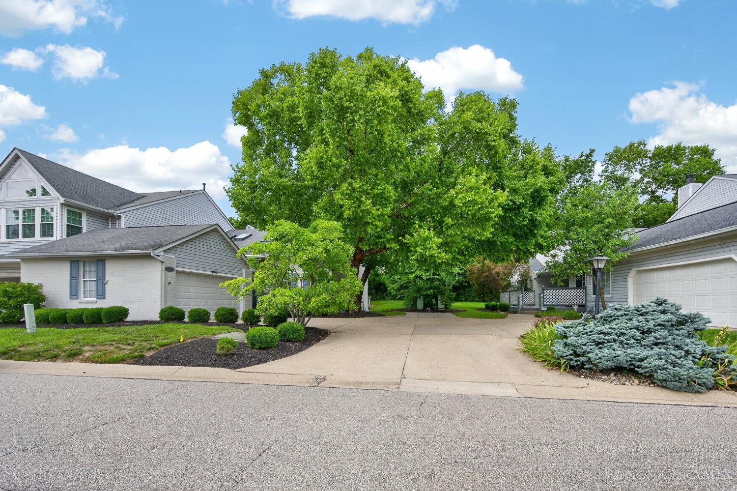 12178 Peak Drive, Springdale, OH, 45246 — photo 4
