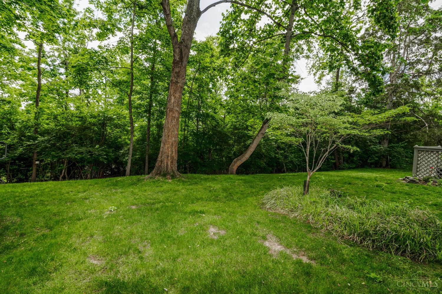 11528 Symmes Gate Lane, Symmes Twp, OH, 45249 — photo 22