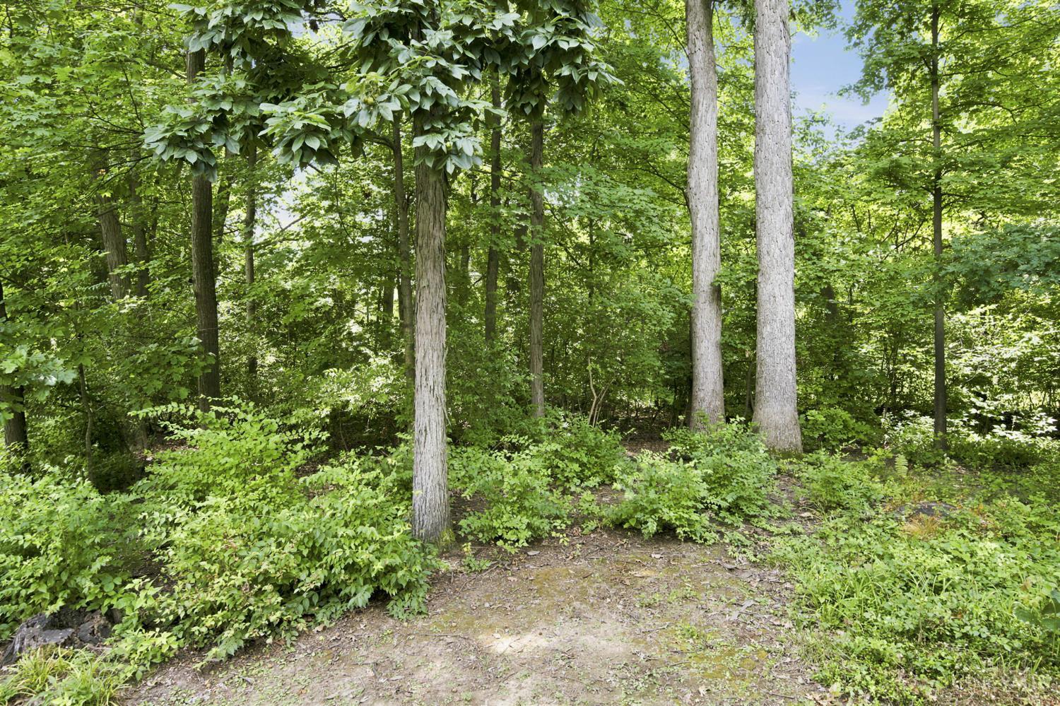 5317 Hickory Trail Lane, Blue Ash, OH, 45242 — photo 40