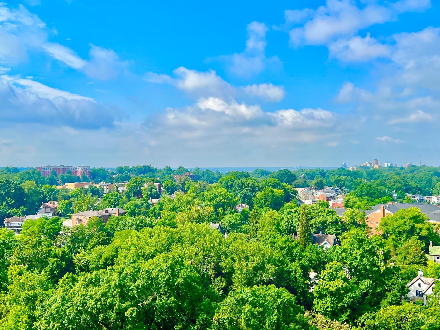 2324 Madison Road #1509, Cincinnati, OH, 45208 — photo 19