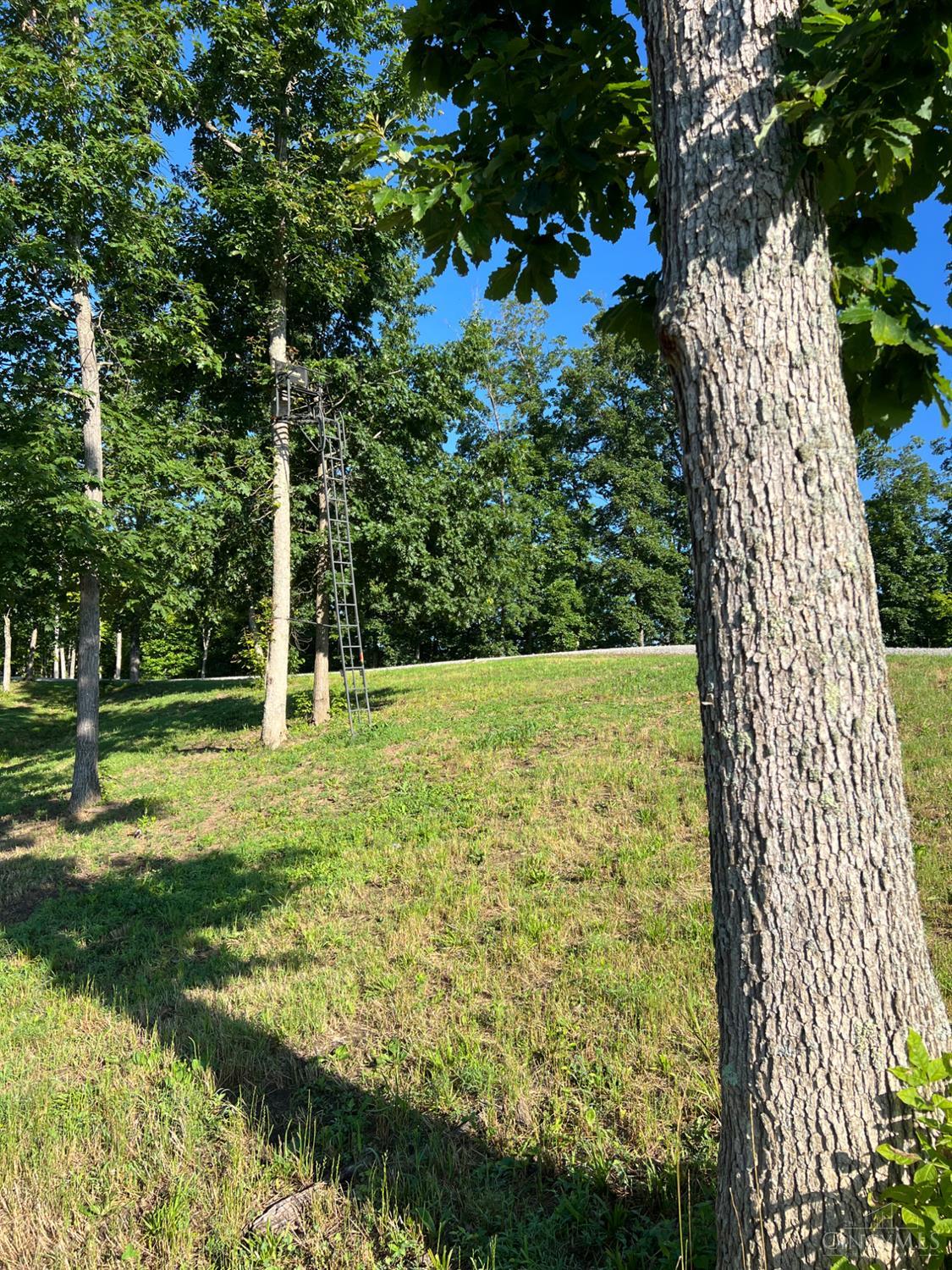 US Rt 52, Manchester, OH, 45144 — photo 49