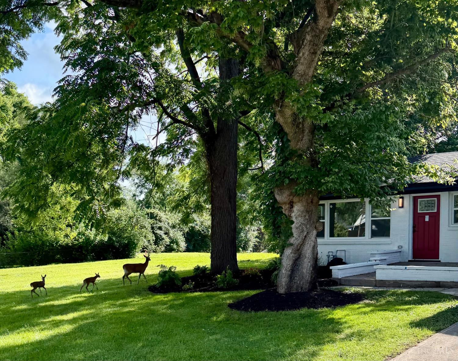 804 Eaton Avenue, Middletown, OH, 45044 — photo 32