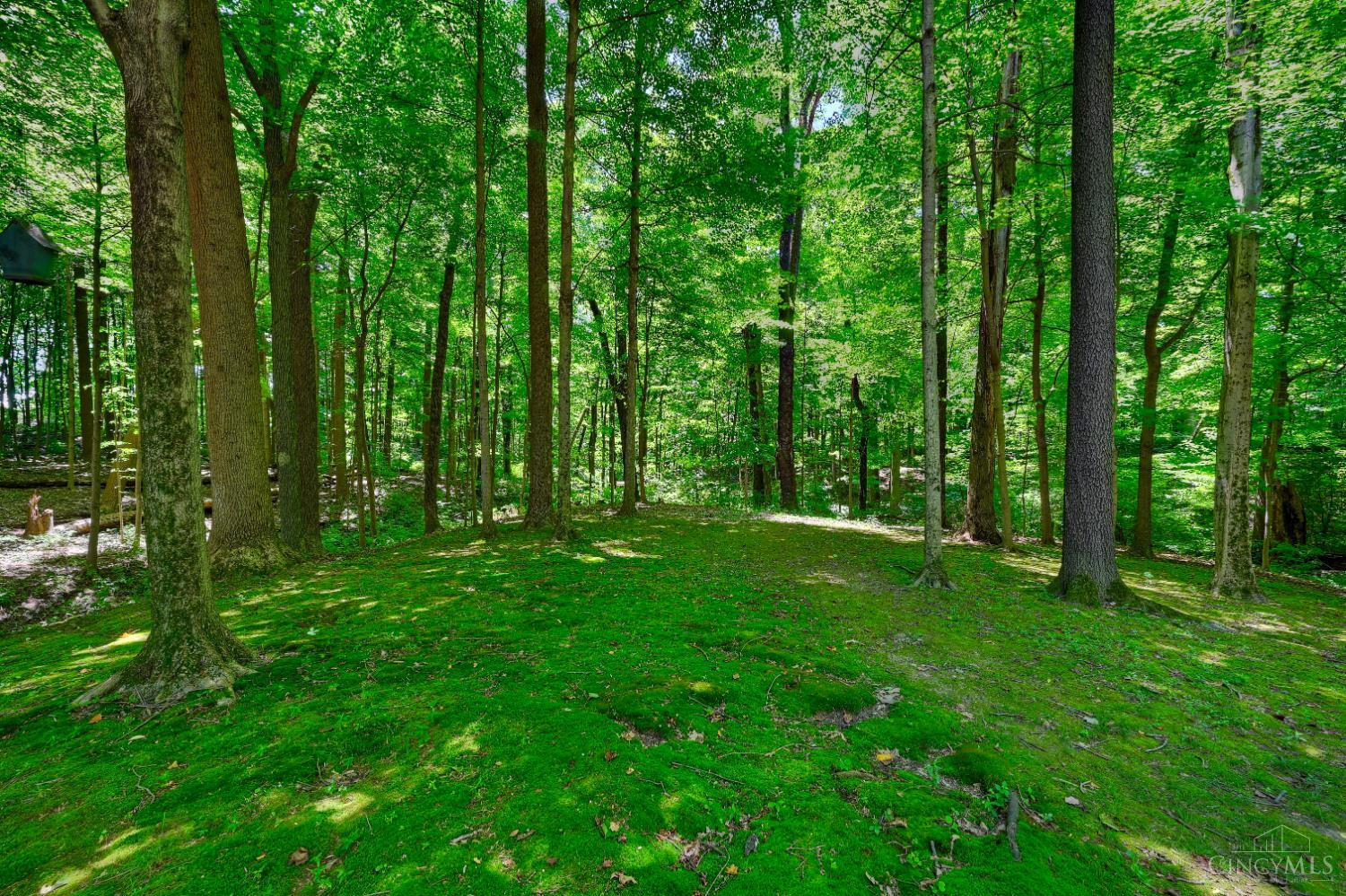 6427 Visitation Drive, Green Twp, OH, 45248 — photo 29