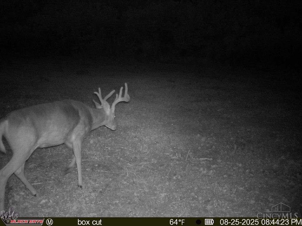 A Enley Road, Union Twp, OH, 45652 — photo 35