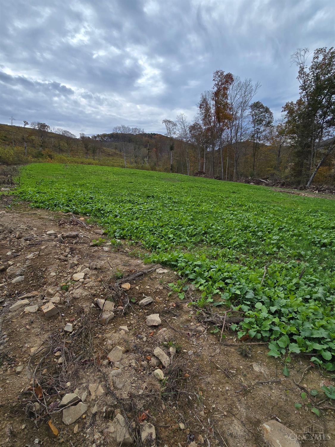 A Enley Road, Union Twp, OH, 45652 — photo 12