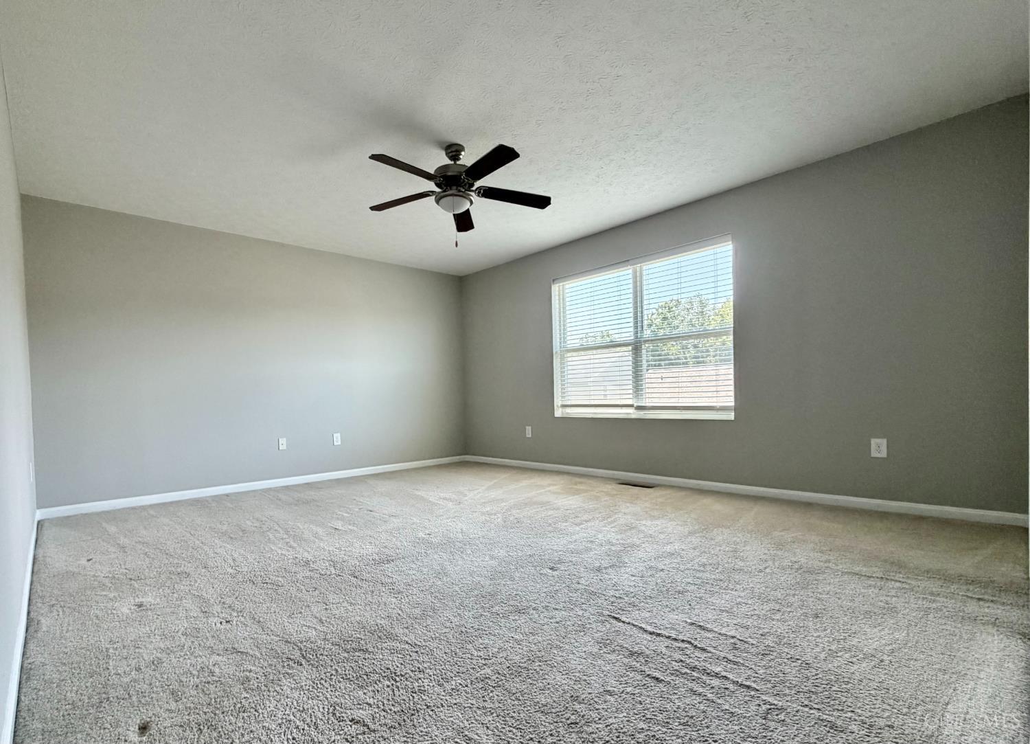 692 Hafton Court, Maineville, OH, 45039 — photo 12