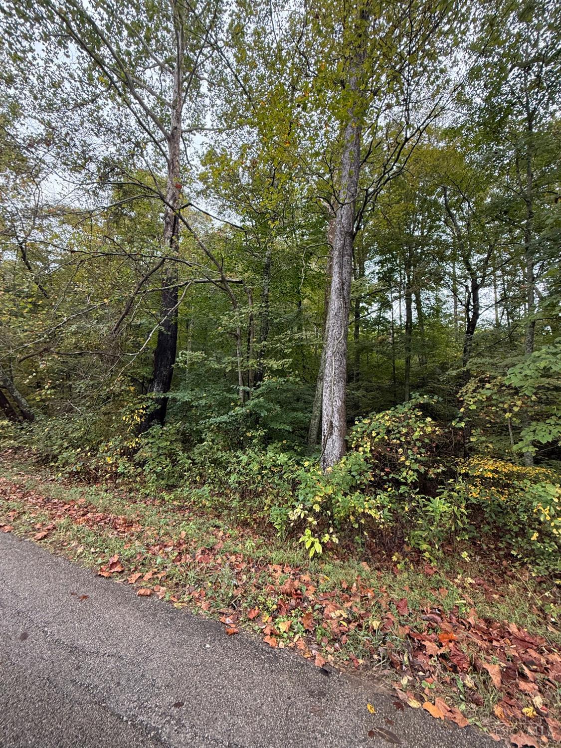 8.307 Ac Churn Creek Road, Jefferson Twp, OH, 45616 — photo 4