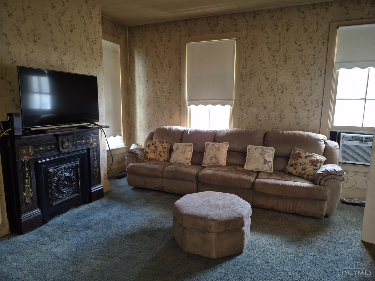 25 Third Street, Ripley, OH, 45167 — photo 16