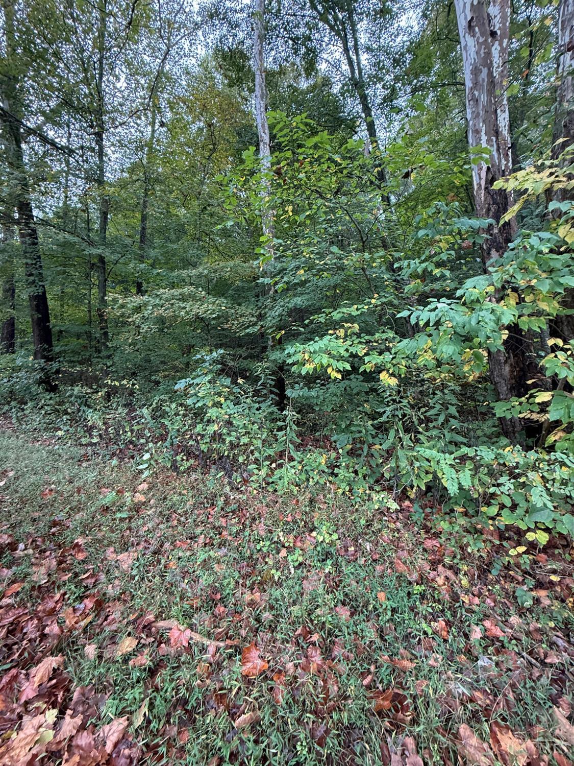 8.307 Ac Churn Creek Road, Jefferson Twp, OH, 45616 — photo 5