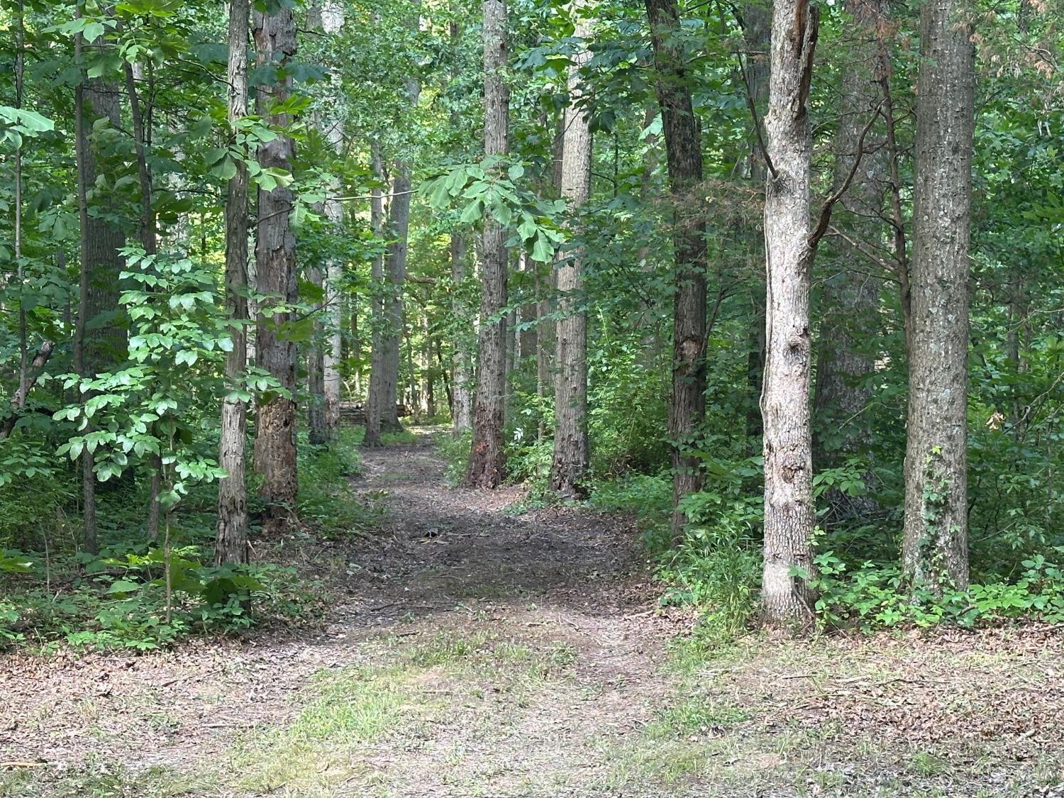 Woodhaven Lane, Goshen Twp, OH, 45122 — photo 23