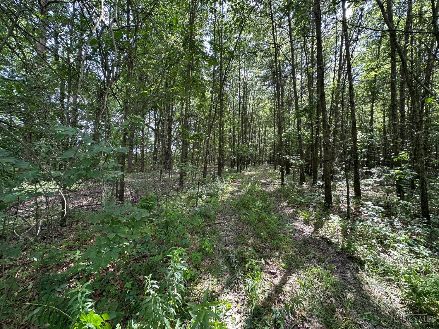 Woodhaven Lane, Goshen Twp, OH, 45122 — photo 26