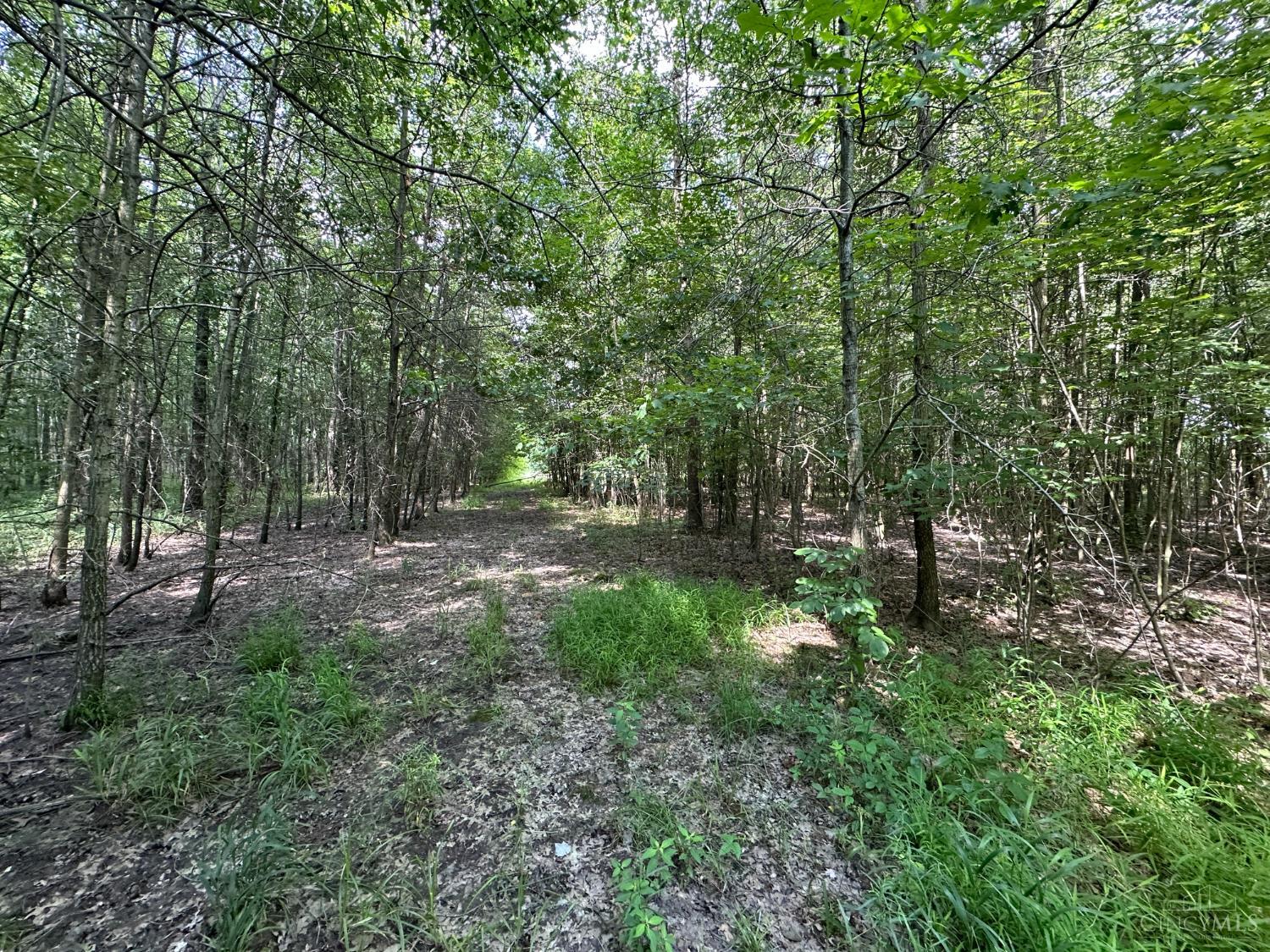 Woodhaven Lane, Goshen Twp, OH, 45122 — photo 30