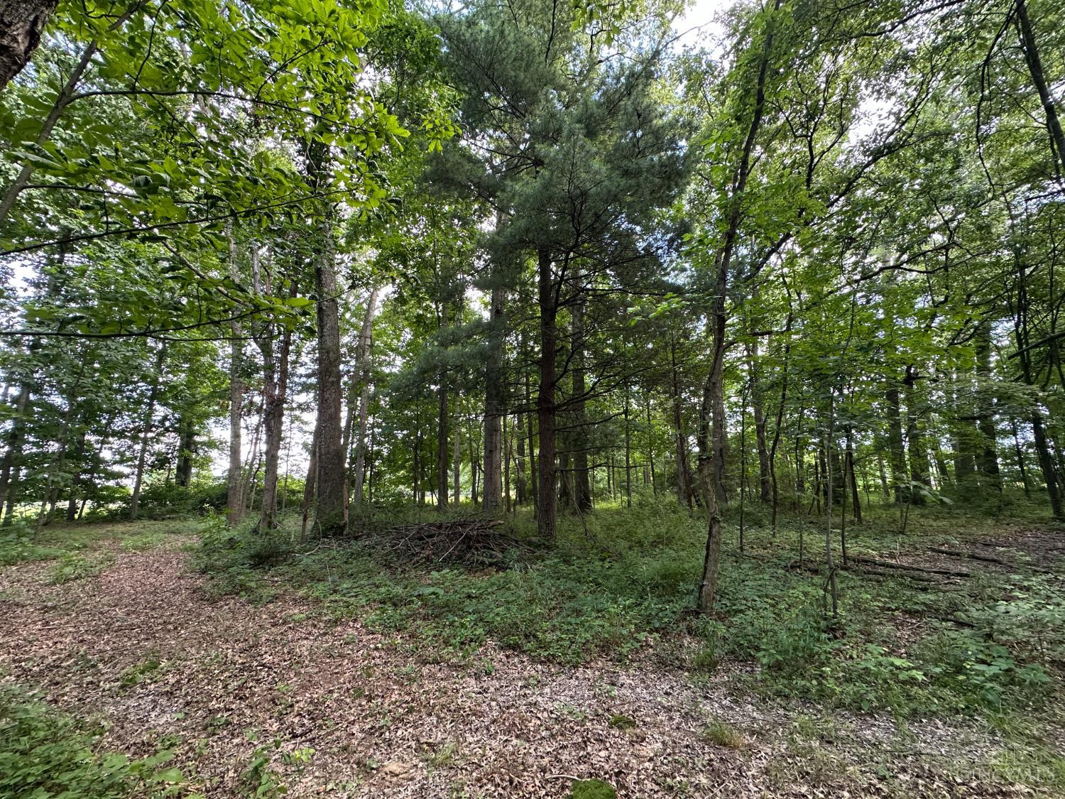 Woodhaven Lane, Goshen Twp, OH, 45122 — photo 21
