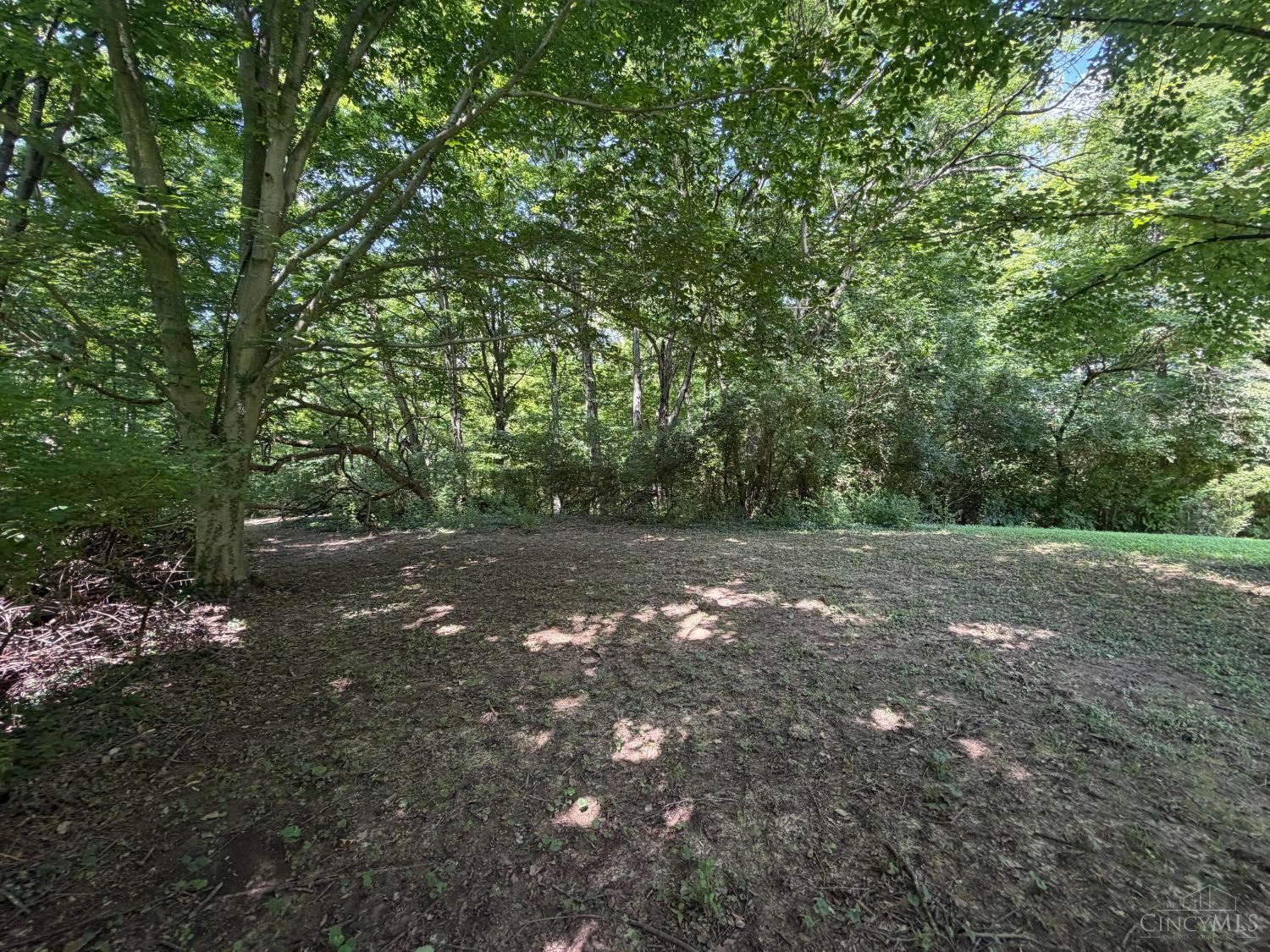 1109 Asbury Road, Anderson Twp, OH, 45255 — photo 70