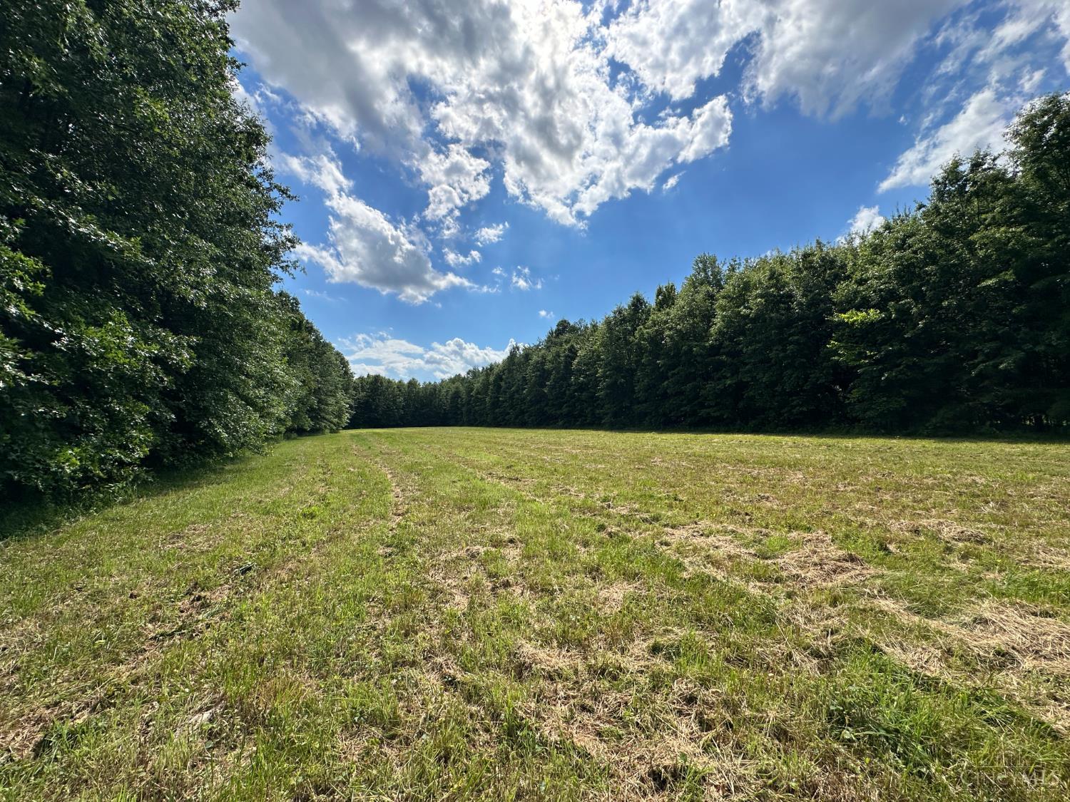 Woodhaven Lane, Goshen Twp, OH, 45122 — photo 20