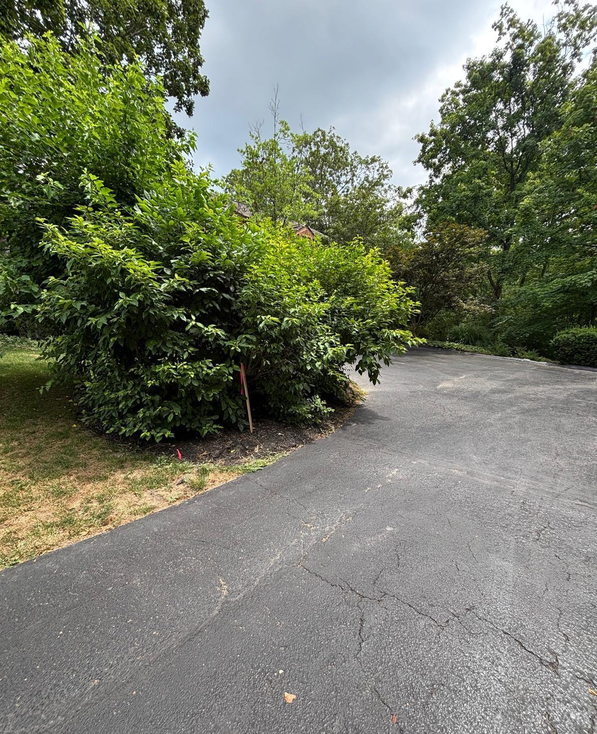 12102 Paulmeadows Drive, Symmes Twp, OH, 45249 — photo 2