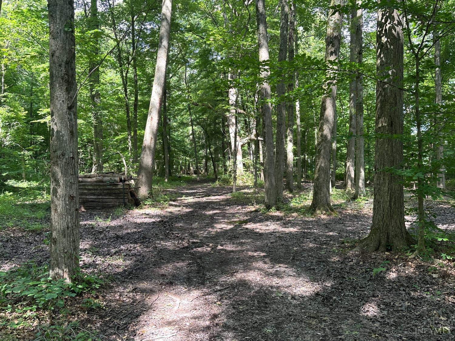 Woodhaven Lane, Goshen Twp, OH, 45122 — photo 16