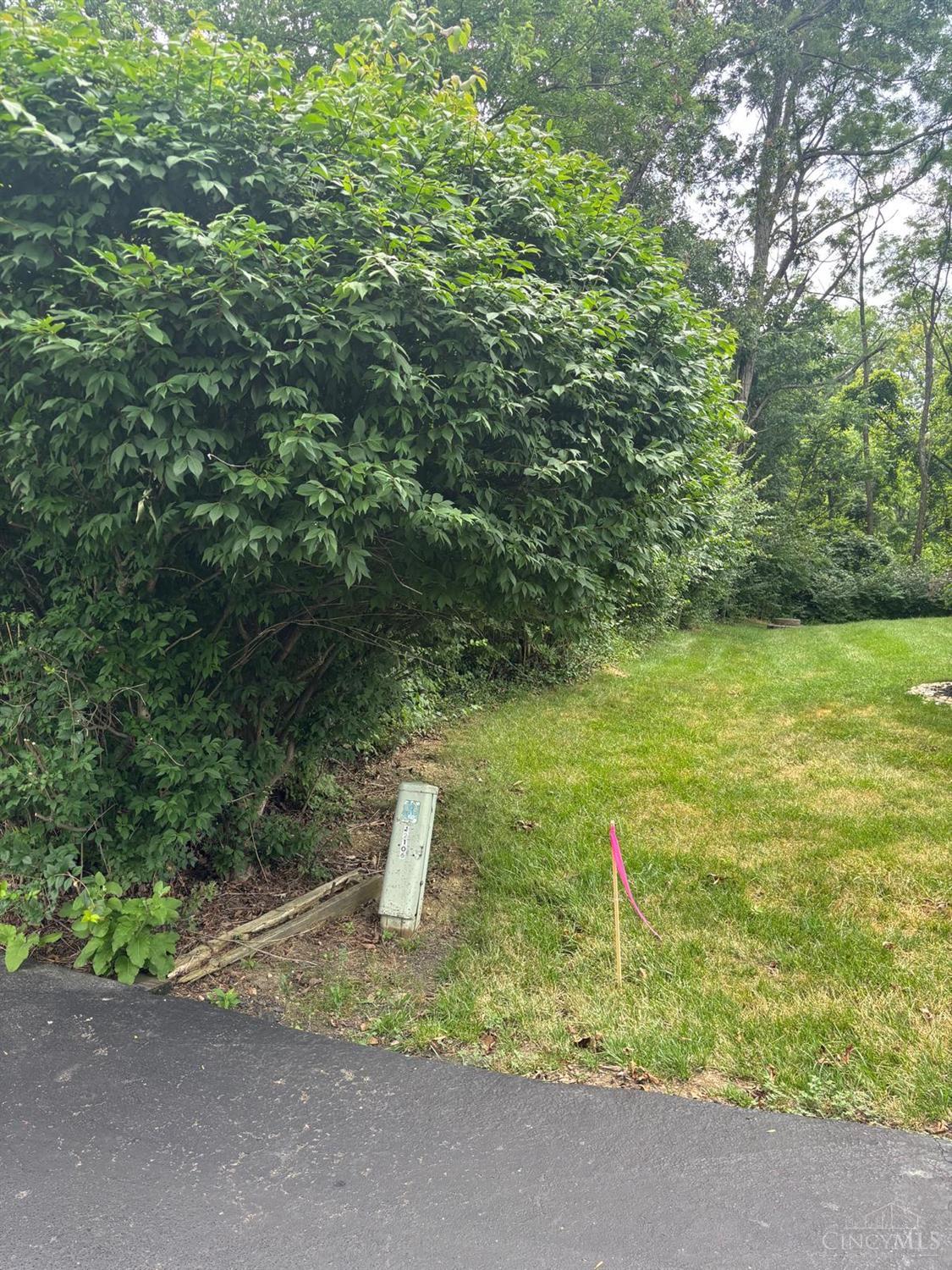 12102 Paulmeadows Drive, Symmes Twp, OH, 45249 — photo 5
