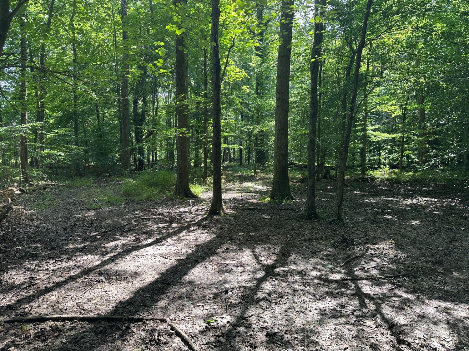 Woodhaven Lane, Goshen Twp, OH, 45122 — photo 18