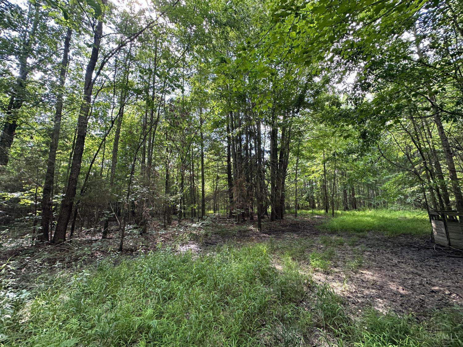 Woodhaven Lane, Goshen Twp, OH, 45122 — photo 25