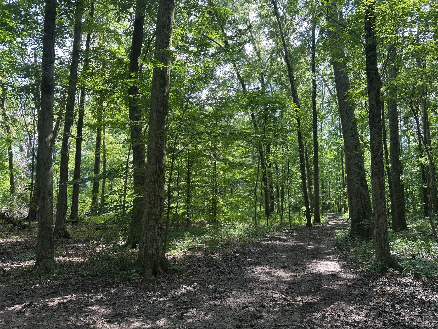 Woodhaven Lane, Goshen Twp, OH, 45122 — photo 17