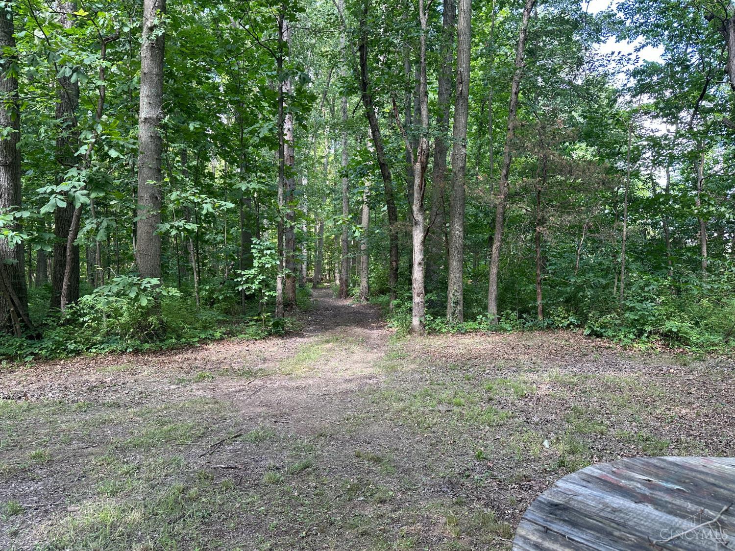 Woodhaven Lane, Goshen Twp, OH, 45122 — photo 24