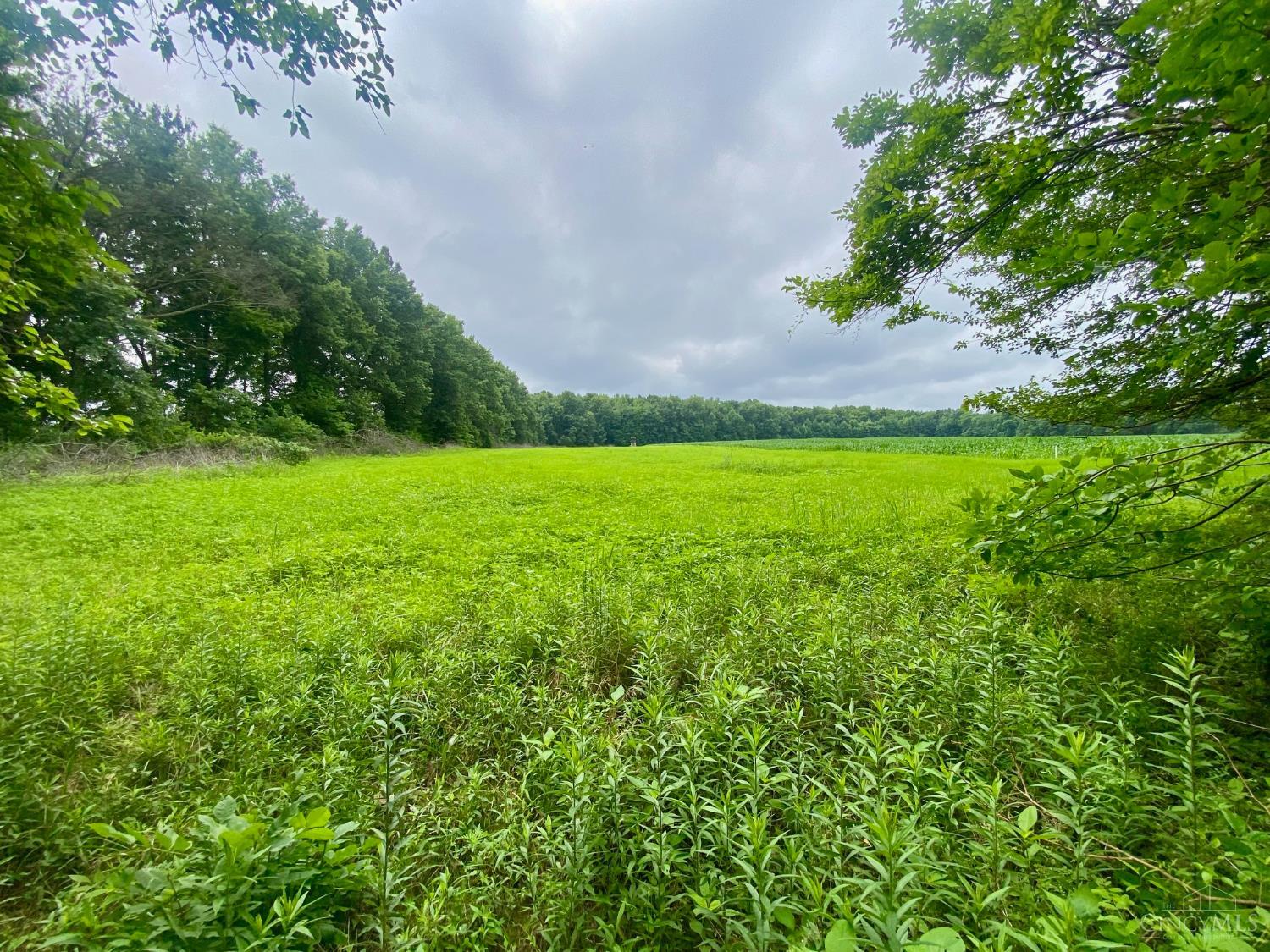 ac Ward Koebel Road, Washington Twp, OH, 45054 — photo 2