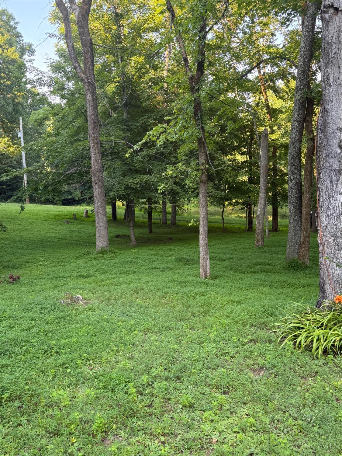 1702 Robinson Hollow Road, Liberty Twp, OH, 45693 — photo 5