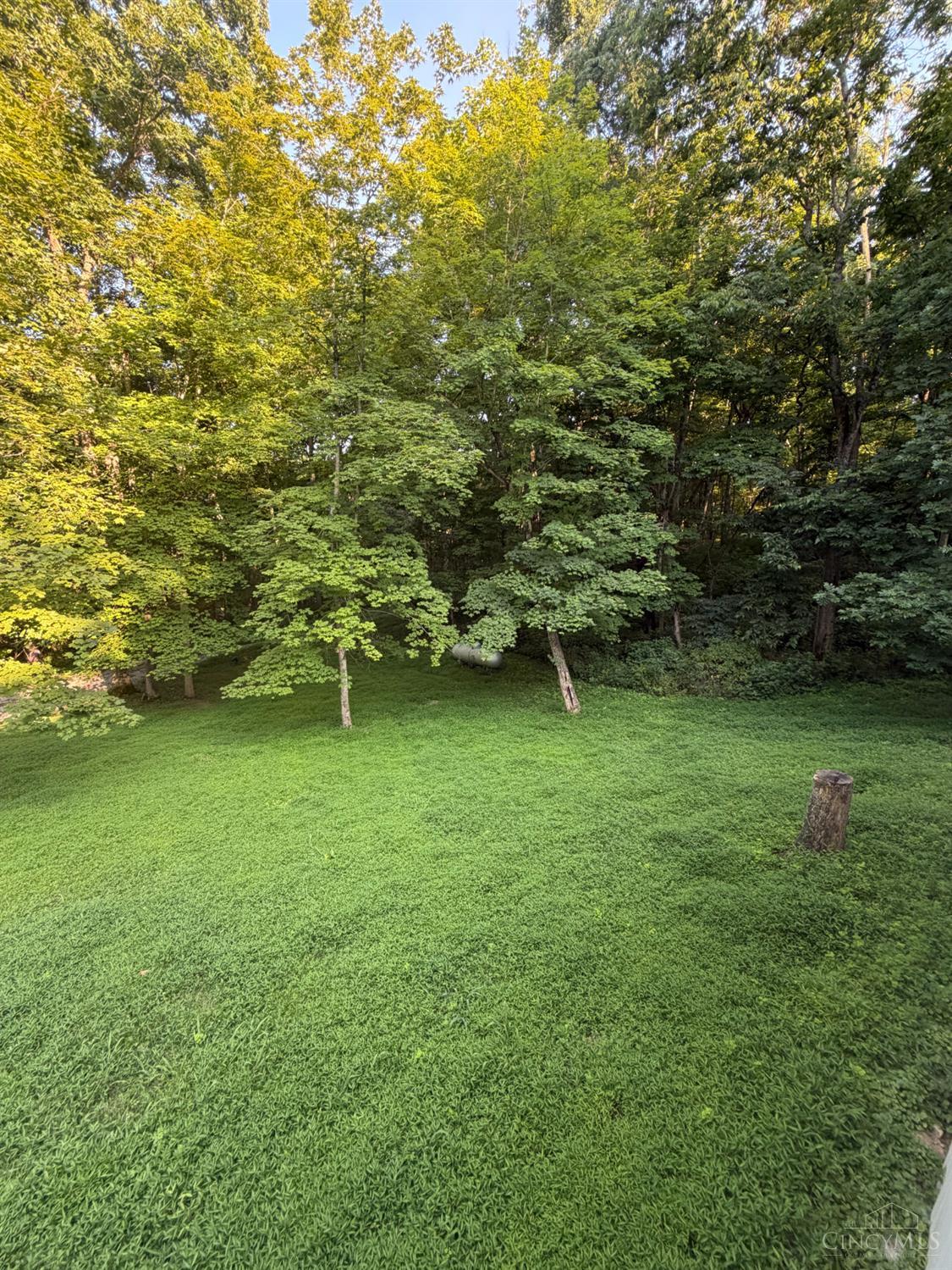 1702 Robinson Hollow Road, Liberty Twp, OH, 45693 — photo 4