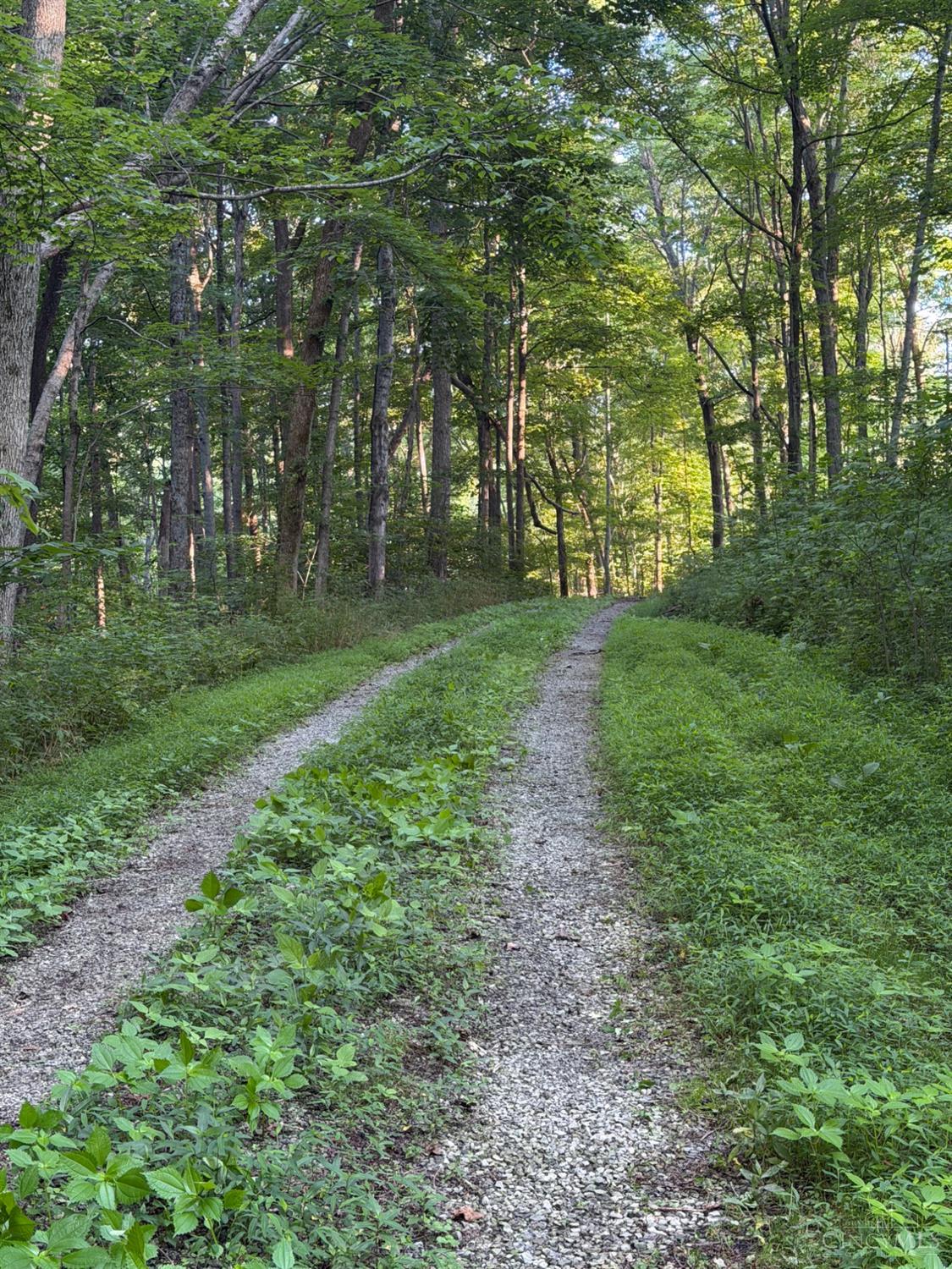 1702 Robinson Hollow Road, Liberty Twp, OH, 45693 — photo 2