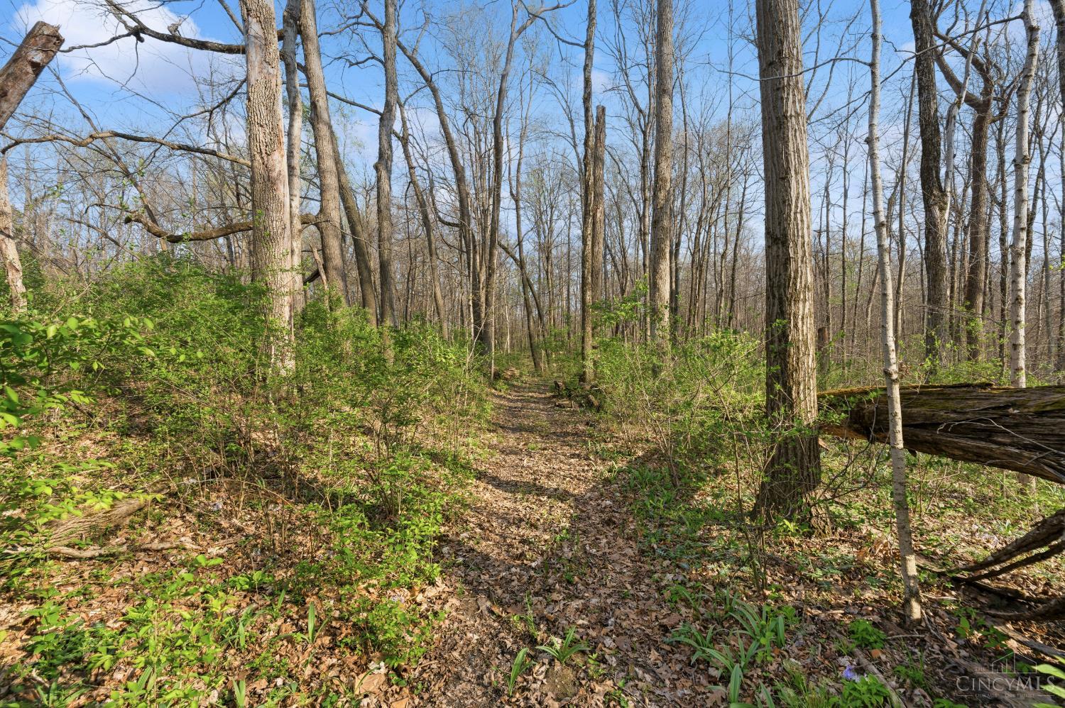 30th image of 1435 Halpin Rd, Vernon Twp, OH 45113 | MLS# 1887221