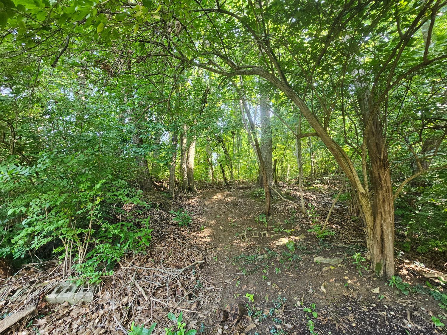 4728 Kirby Avenue, Cincinnati, OH, 45223 — photo 16