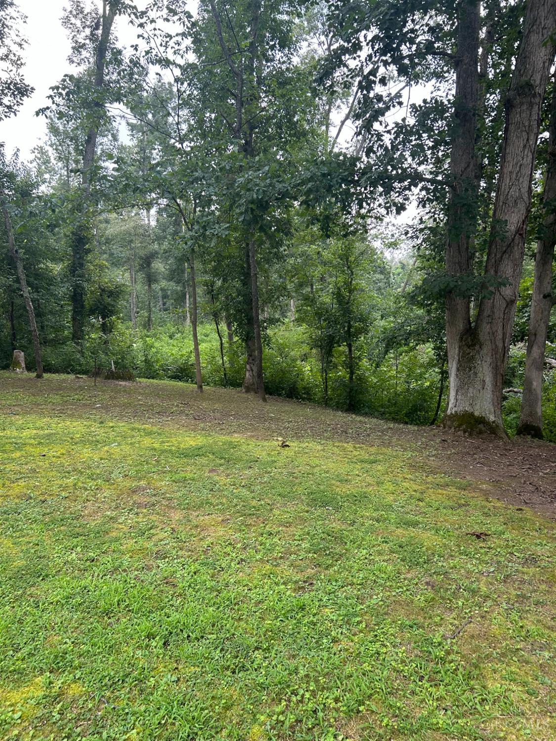 10866 St Rt 124, Marshall Twp, OH, 45133 — photo 5