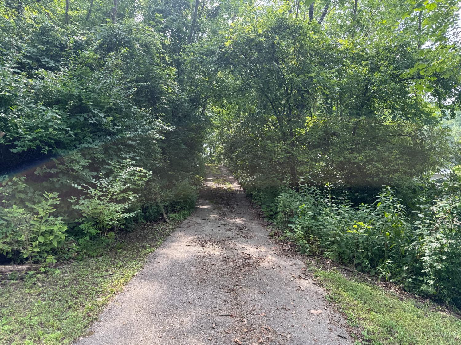 5465 State Road 46, West Harrison, IN, 47060 — photo 4