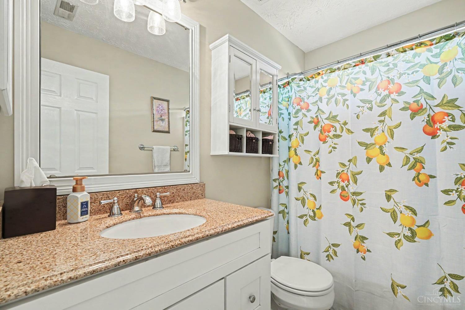 8221 Springleaf Lake Drive, Colerain Twp, OH, 45247 — photo 10
