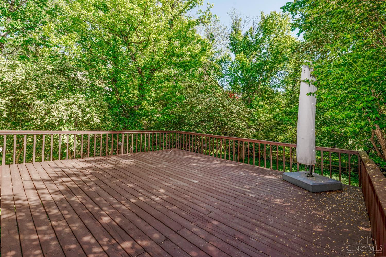 3507 Aultwoods Lane, Cincinnati, OH, 45208 — photo 34
