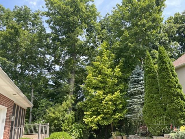 1705 Cottontail Drive, Miami Twp, OH, 45150 — photo 58