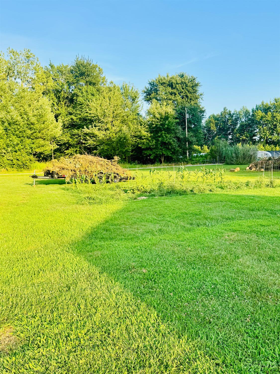 4464 Tri County Highway, Mt Orab, OH, 45154 — photo 10