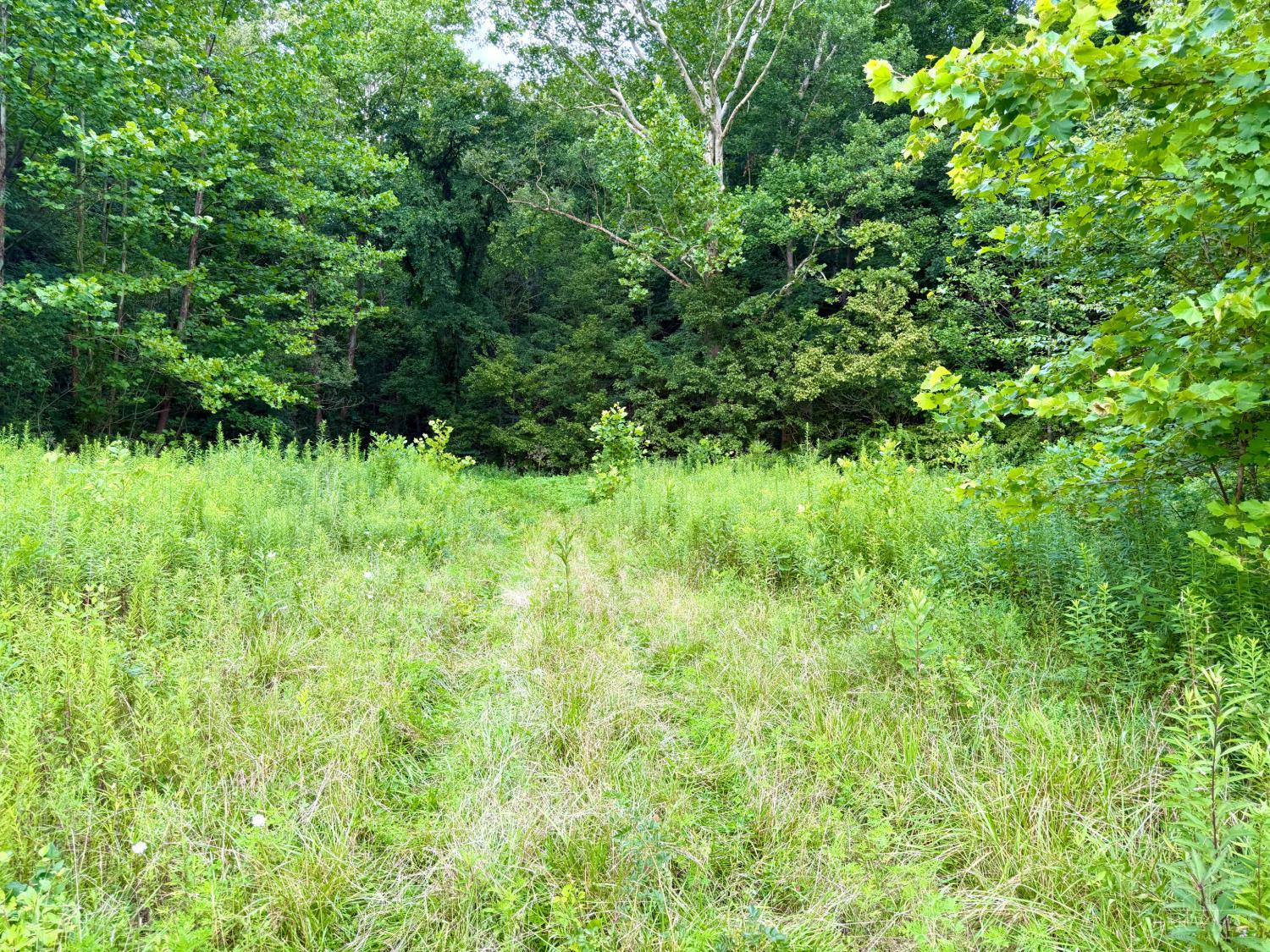 13568 St Rt 73, Franklin Twp, OH, 45660 — photo 87