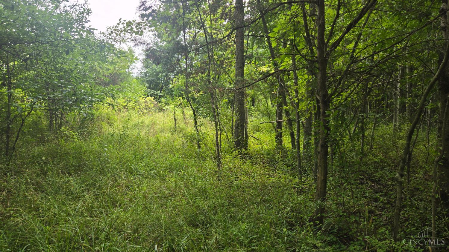 2nd image of 506 Cherry St, Blanchester, OH 45107 | MLS# 1888167