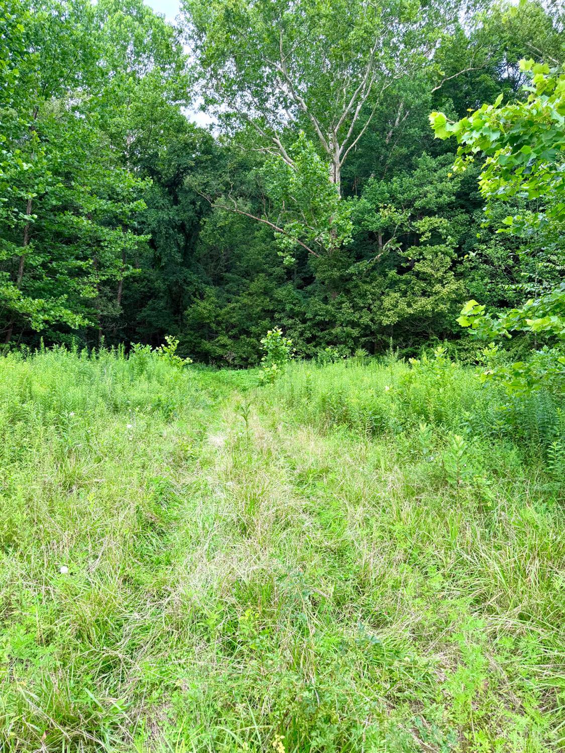 13568 St Rt 73, Franklin Twp, OH, 45660 — photo 86